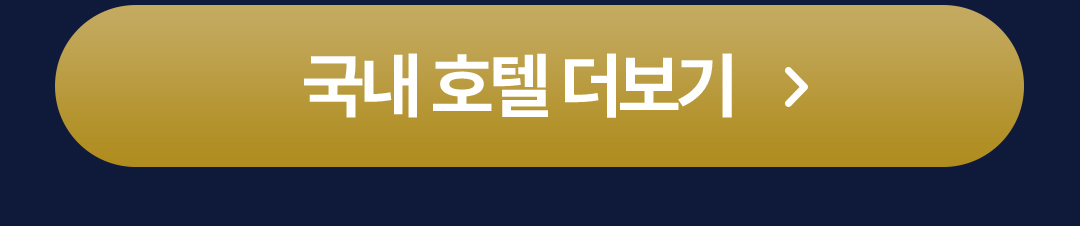 국내 호텔 더보기