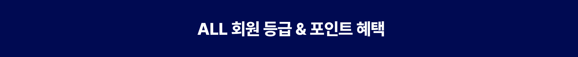 서비스 타이틀 1